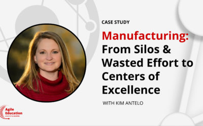 Manufacturing Organization: From Silos & Wasted Effort to Centers of Excellence